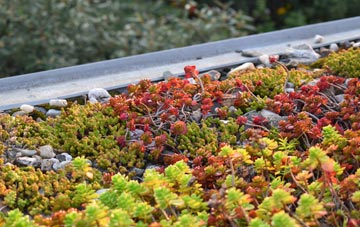 the cost of Aird Na Monadh green roof installation